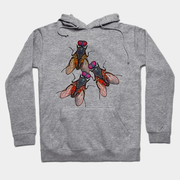 Angry Flies Hoodie by crunchysqueak